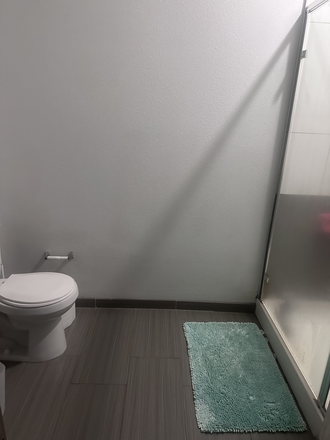 Shared Bathroom - The Soto 4x3 June to August Sublease Apartments