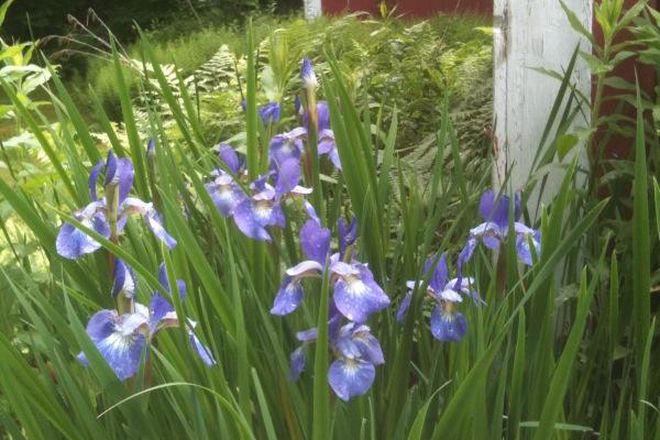 Photo - Little House