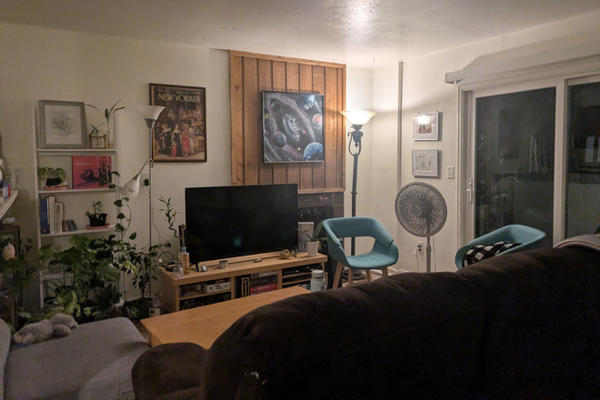 Living room - 695 Manhattan Drive