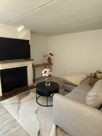Living room - Private apartment Summer Session 1 available with bath, private courtyard, 12 min walk to campu