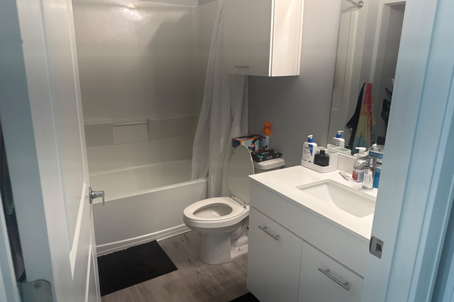 Bathroom - Private room for rent at park place 3400 E Fletcher Ave, Tampa, FL 33613-4648, United States Apartments