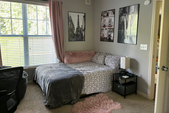 Bedroom - Fully Furnished 1B/1B Apt with Private Woods View (move in late April or mid-May)