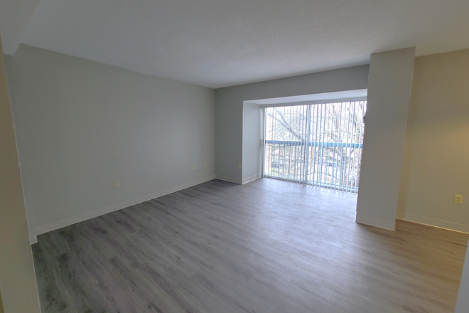 Living Room - *Updated 2 bedroom Plus Office 1 bath Close to Campus**Flexible Move in Date** Apartments