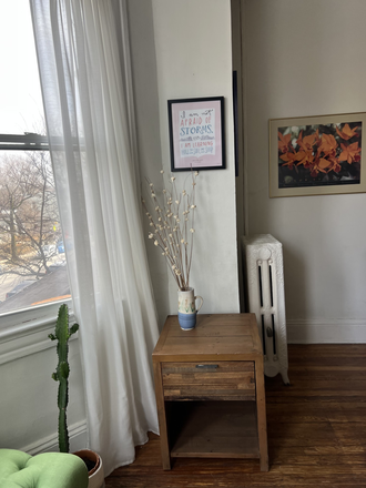 Living Room sunny spot - Charles Village Second Floor Charming 1BR with A Large Living Room/Work Space Apartments