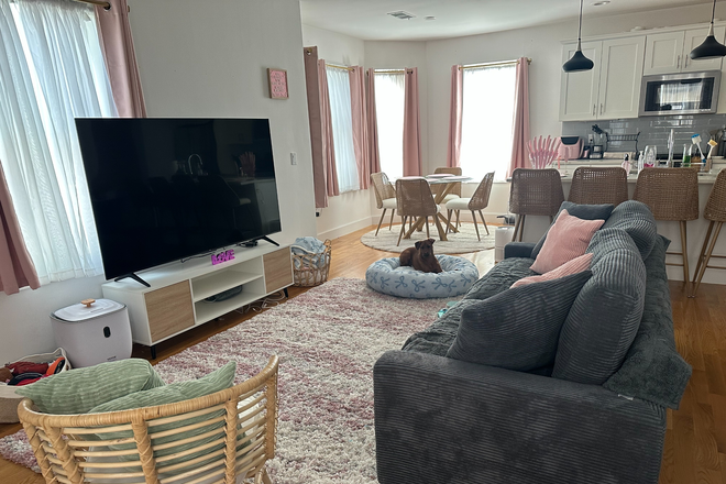 Living room - Roommate Wanted in June: 2 BD/2.5 BA in JP for $1,550/mo | W/D & AC | Dog-Friendly🐾| No Broker's Fee