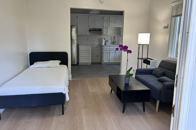Living area - Quiet Studio in Elmwood, Close to Campus