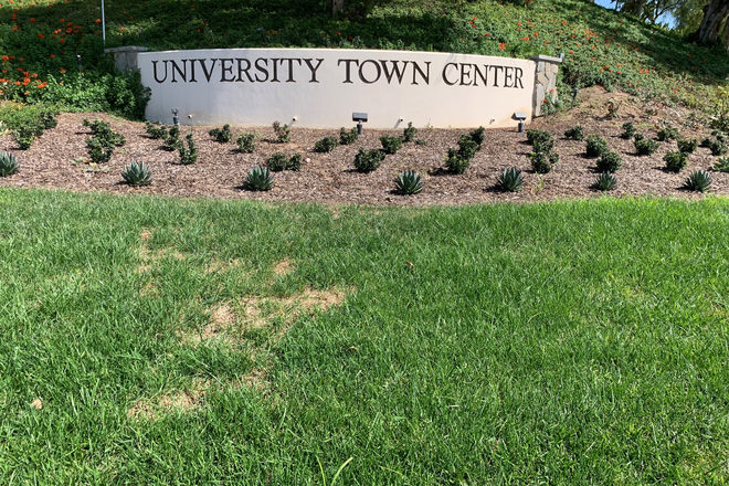 UTC - $1400-2100 Private Room/Private Bath at Stanford Court- Walk to UCI