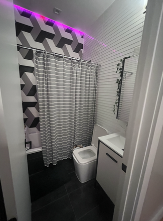 Bathroom - 1 bedroom for rent in 4 bed / 2 bath in Bushwick Apartments