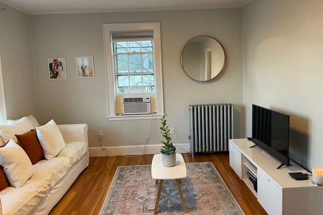 Living Room - Stunning 1BR near Harvard Square | $3,250/mo | Available June 1 Apartments