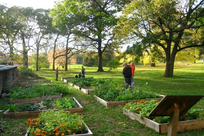 The Woodlands Community Garden - University City Housing Apartments