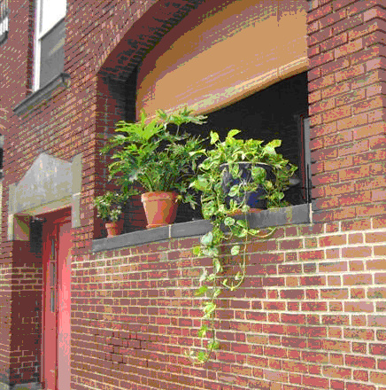 Exterior Front - Immaculate Little Italy 1 Bedroom 1 Bath Apartments