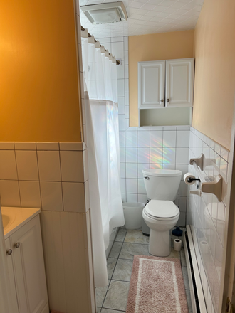 Bathroom( Tub, Shower, toilet, Sink) - 15 Wadsworth Street Apartments