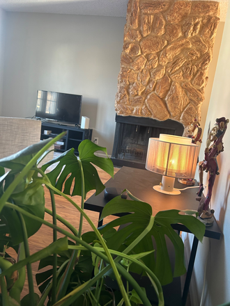 Living room - Room for Rent in Townhome – Private Basement Suite w/ Bathroom | Aurora, CO