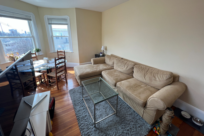 Living room - **NO BROKERS FEE!!** Sun-Drenched 4 Bed/1.5 Bath w/ LAUNDRY IN UNIT! Avail 9/1/26!! Apartments