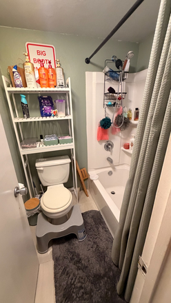 Toilet - Looking for a roommate! Master bedroom, walking distance to campus Condo