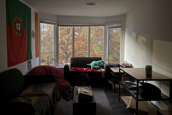 View in the Living Room - Commons 5 Bedroom Largest Room