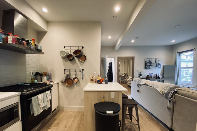 Kitchen - GIRLS ONLY ROOM RENTAL - Recently Renovated 4 Bed 2 Bath in Polish Triangle Apartments
