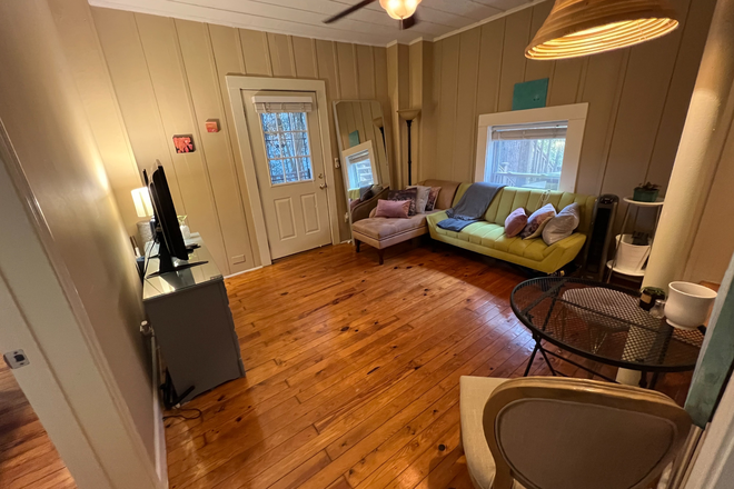 Living Room - Candler Park 1 bed/1 bath apartment