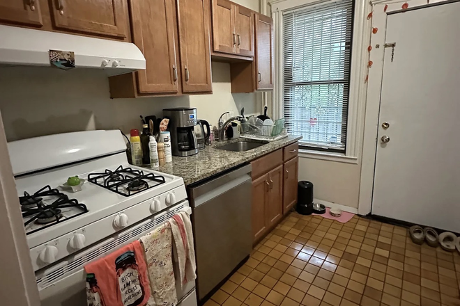 kitchen - Brighton roomie needed ASAP! Apartments