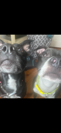 Spyro and Tuna - Summer Sublet-Private Room