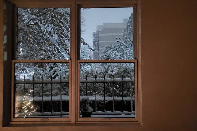 Living room window during winter - Spacious shared two-bedroom in Prospect-Lefferts Gardens, Brooklyn Apartments