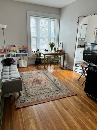Living room - Sunny One Bedroom, 1 Bathroom Apartment. Heat and Hot Water Included. Walk to Brown University.