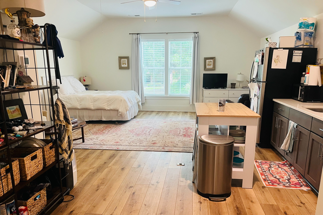 Overview - double window with great natural light - Stylish Studio on James Island - 7 minutes from MUSC! Apartments