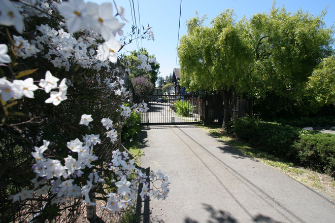 Gated entrance - 1BD/1BA Garden Apartment w Hardwood Floors near N Berkeley BART - gated building!