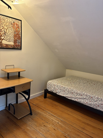 West Loft- back room - 2 large loft units in a 5BR/2.5Ba Cambridgeport apt with yard