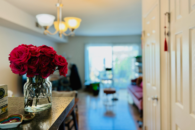 Living Room - Cambridge Square Townhouse (Easy UVA Bus Access)