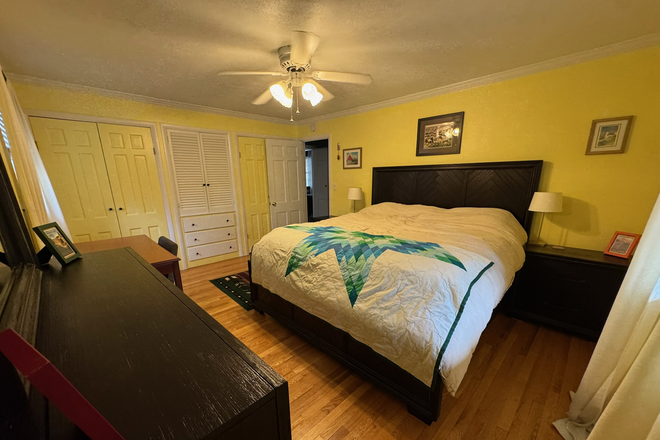 Main Floor Bedroom - Two Private Rooms Available with Office & Bath | $1,500 All Utilities Included!