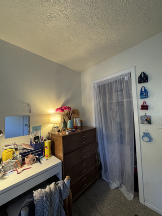 Bedroom (closet) - 1 bedroom and bathroom for spring - summer sublet in a 3bed3bath GIRLS ONLY Apartments