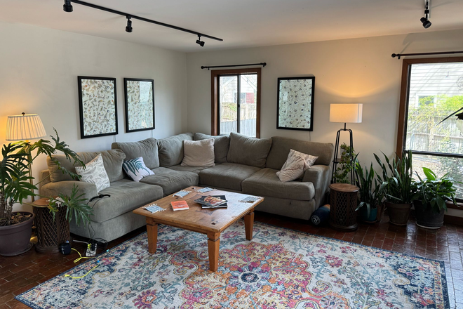 Living room - Whole house in Carrboro for rent