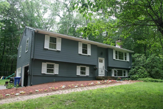 Front - Tree House 2 Miles from Campus