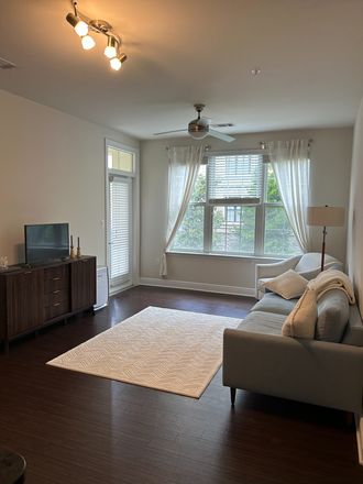Living Room - 1 B/1 Bath in Berkshire 9th Apartments