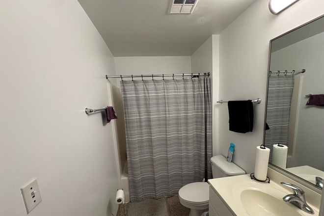 Bathroom - South Campus Commons 3 Apartments