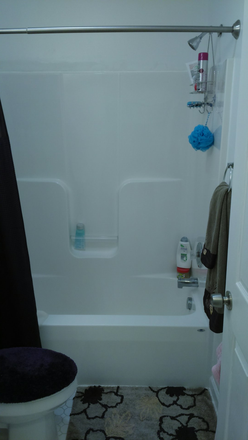 Bathroom - Clean, Modern and Private 1 BR Apt for Rent