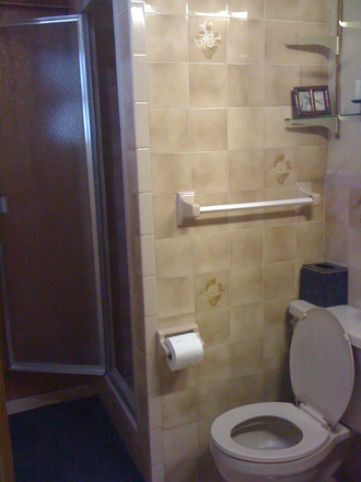 Bathroom - 3825 SW 60 Ct House