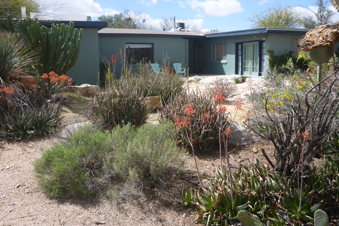 House Front Yard - Spacious House for Rent in the Campus Farm Neighborhood