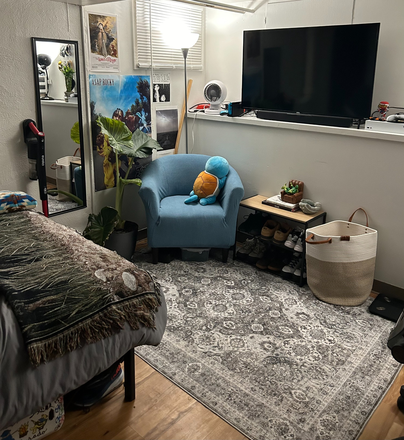 Bedroom - Fully Furnished Spring Semester/Summer Sublet, Renting 1 room on University Ave Townhome