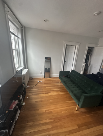 Livingroom space - Studio Summer Sublet- 288 Chestnut Hill Ave (Access to all green line t) Apartments