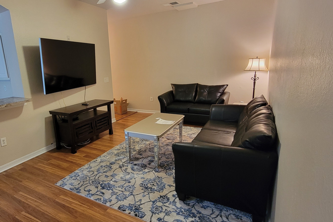 Living Room - 4x4 unit across the street from USF Apartments
