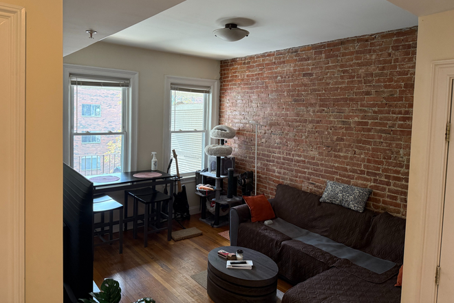 Living Room - 2 Bed/2 Bath apartment in Allston, 5 minute walk from Packard's Corner, Close to Campus