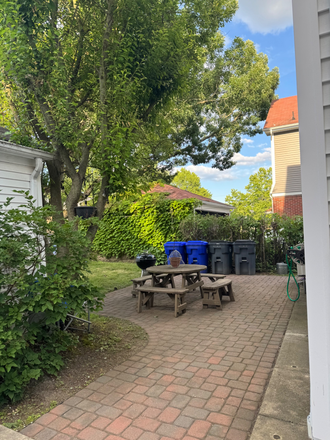 Backyard - Fully Furnished Lower Level Apartment with Amazing Amenities.