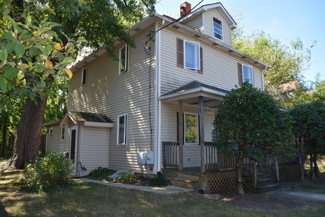 exterior entry (before tree removal) - 2 Room Basement apartment with kitchen bathroom and washer and dryer