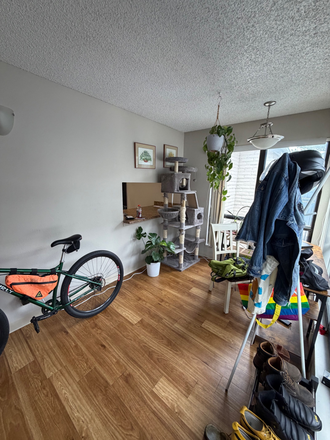 Entry room - Henley and Remy Apartment- Spacious 1 Bed
