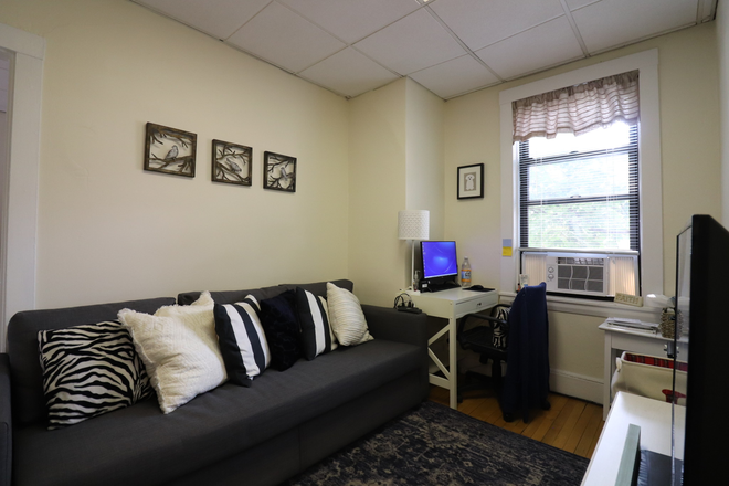 living room - Brookline 1 bed for 4/1