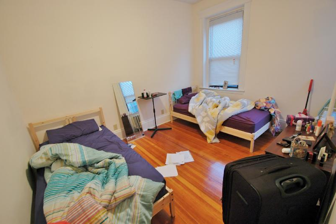 1 Bedroom - 52 Westland Ave #30 - Avail 9/1 - Awesome, Clean, Renovated 1 BR on WESTLAND AVE Apartments