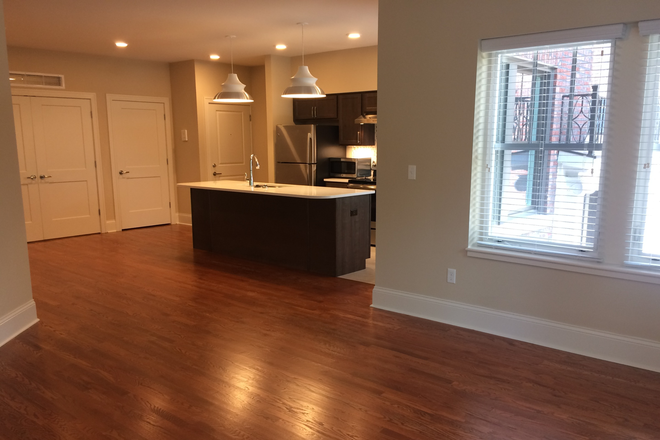 Living Room - Jan-Aug 2027 sublet available, 1b1b, close to campus and Delmar Loop