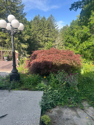 Partial view from living room - Sunny - lovely  2 bedroom Apartments